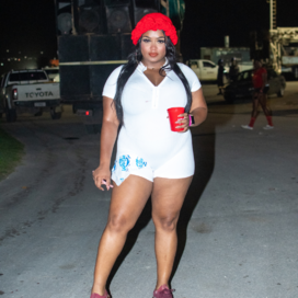 224.png | Barbados National Energy Company Ltd.