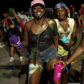 20.png | Barbados National Energy Company Ltd.