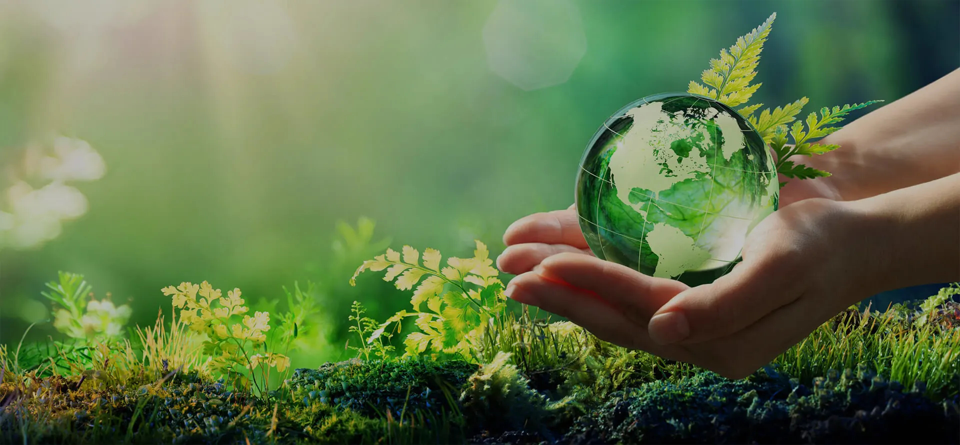 home slide 4 | Barbados National Energy Company Ltd.