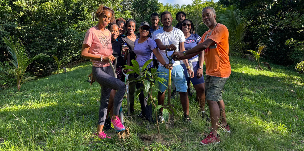 BNECL Staff Embark on Tree Planting and Self-Guided Hike at Coco Hill as Part of Sustainability Initiative | Barbados National Energy Company Ltd.
